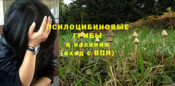 СК Балахна