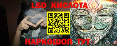 дживик Кандалакша