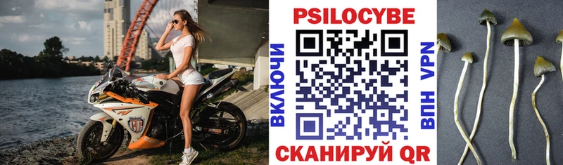 Псилоцибиновые грибы мухоморы Нерюнгри