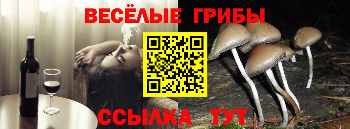 Галлюциногенные грибы ЛСД  Псилоцибиновые грибы Psilocybine cubensis  закладка  Вход с VPN  Нерюнгри 